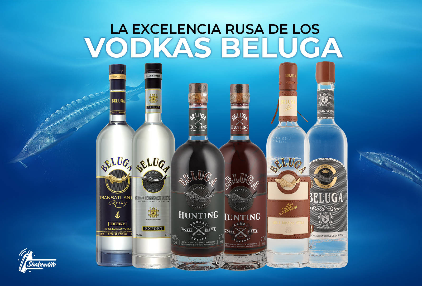 Assorted Beluga Vodka Flavors Picture
