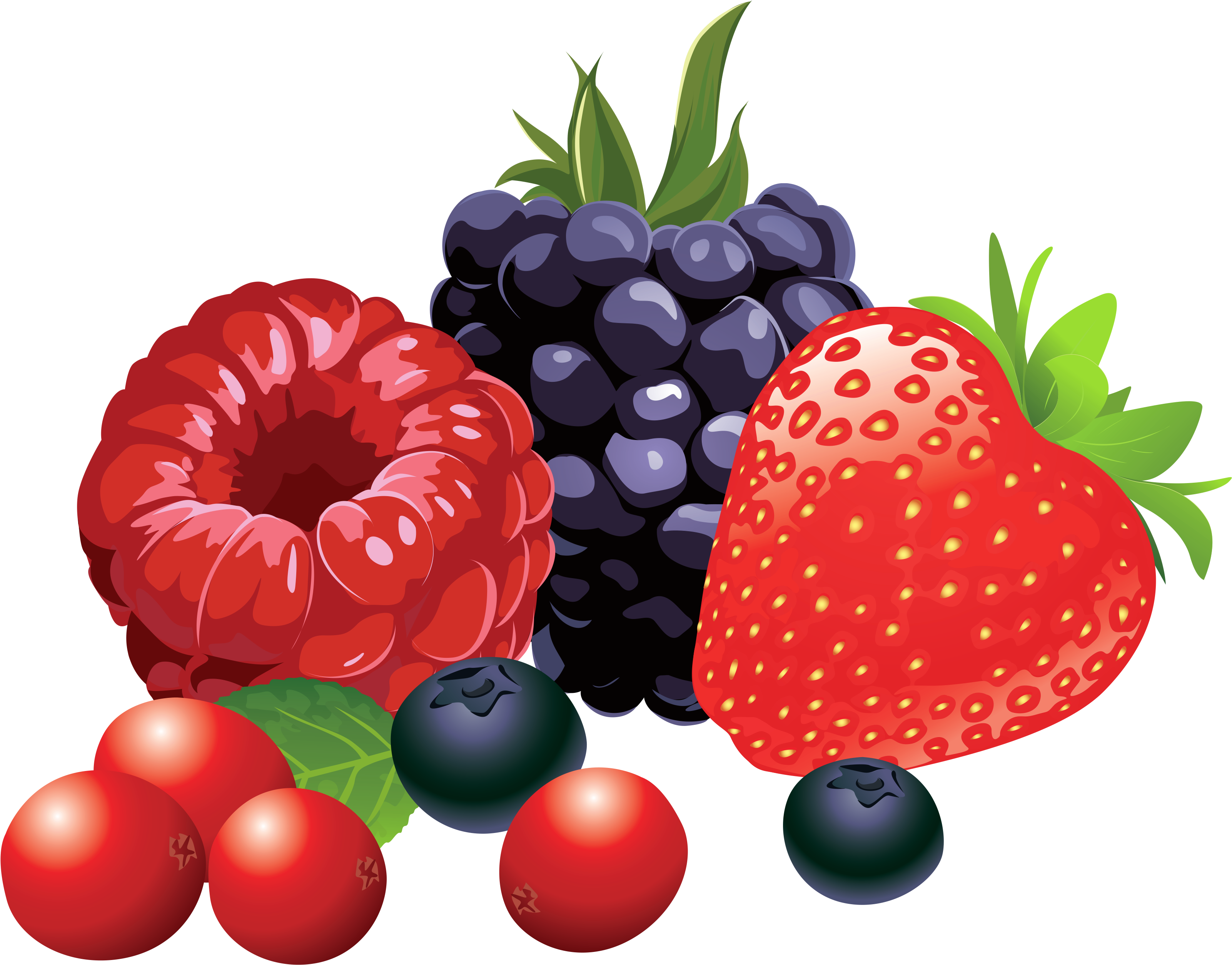 Assorted Berries Illustration PNG