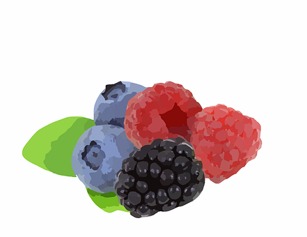 Assorted Berries Illustration PNG