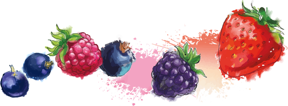 Assorted Berries Watercolor Splash PNG