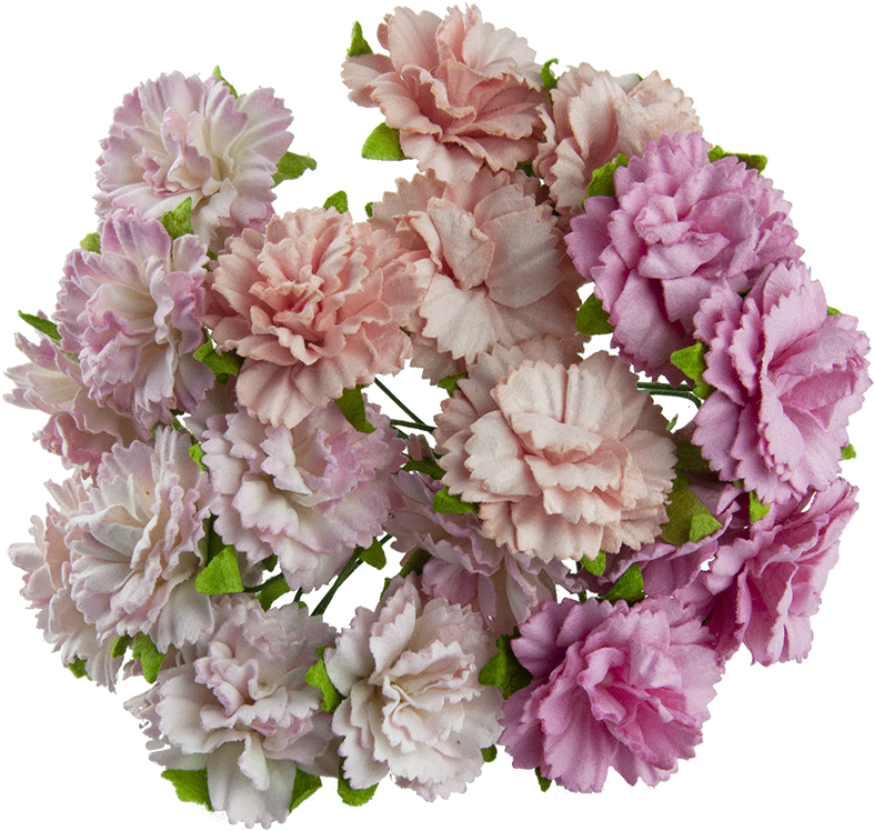 Assorted Carnations Floral Display PNG