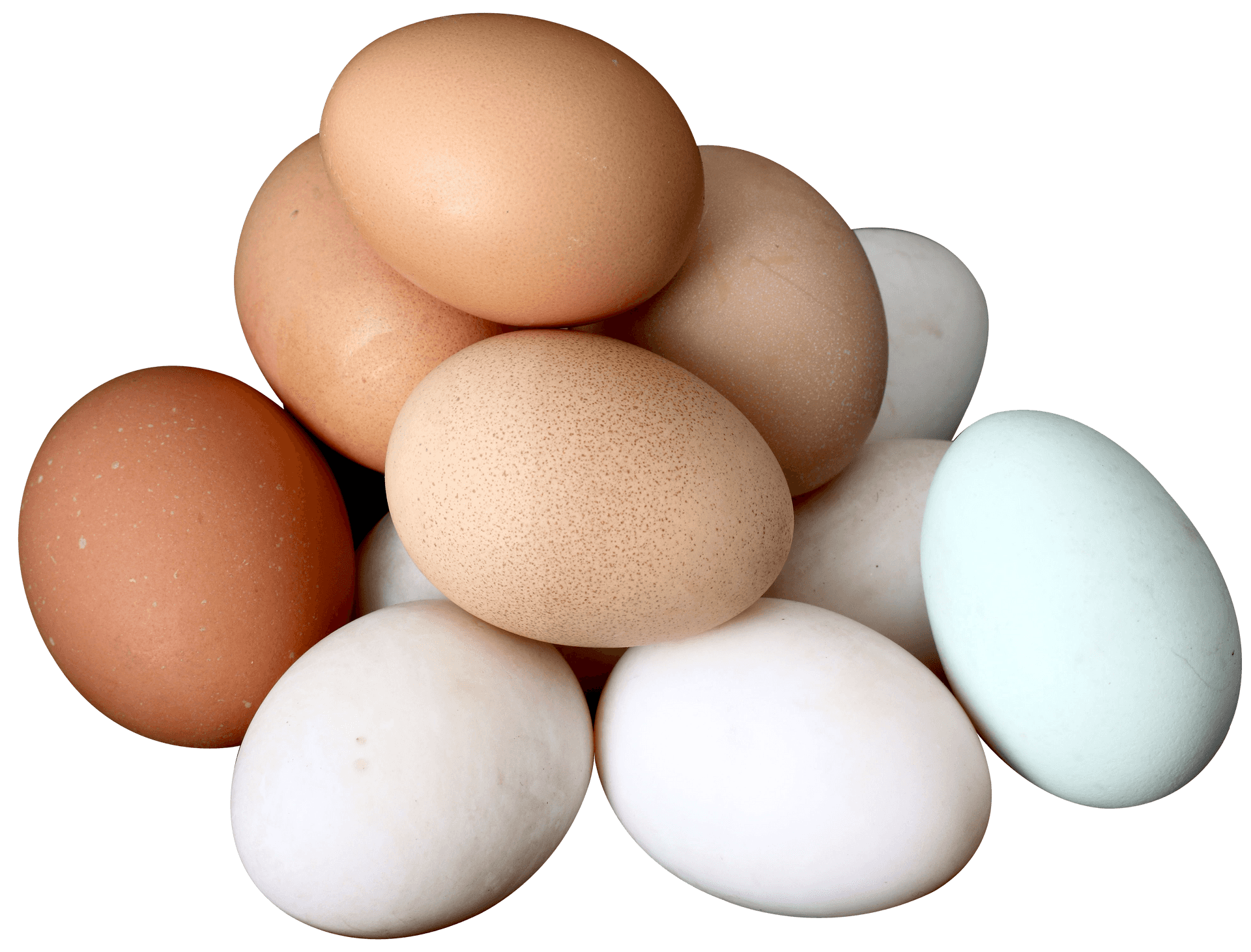Assorted Chicken Eggs Variety PNG