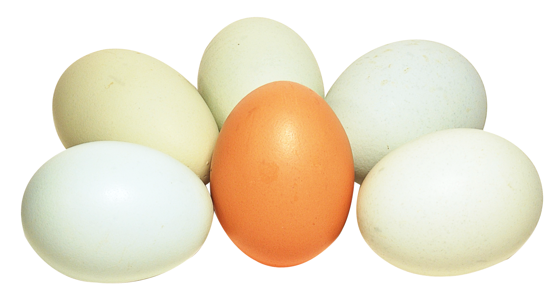 Assorted Chicken Eggs Variety PNG