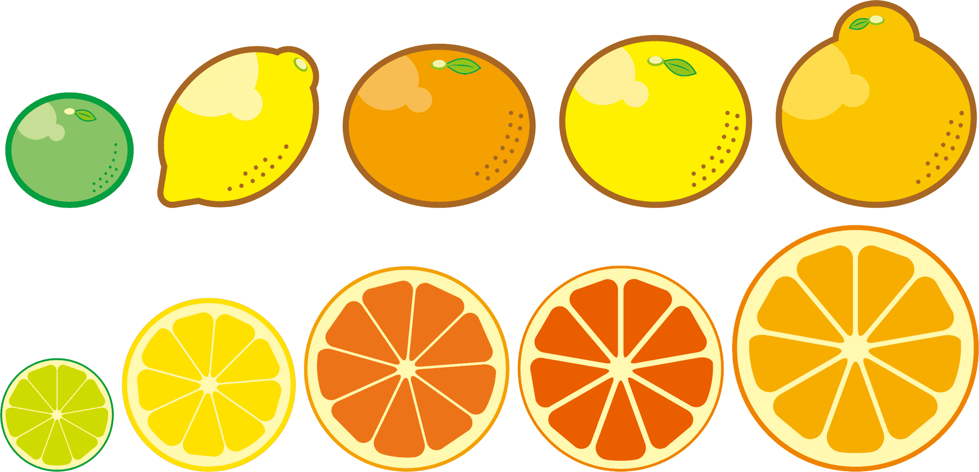 Assorted Citrus Fruits Vector Illustration PNG