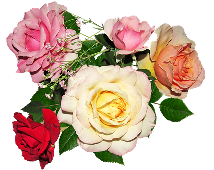 Assorted_ Color_ Roses_ Bouquet PNG