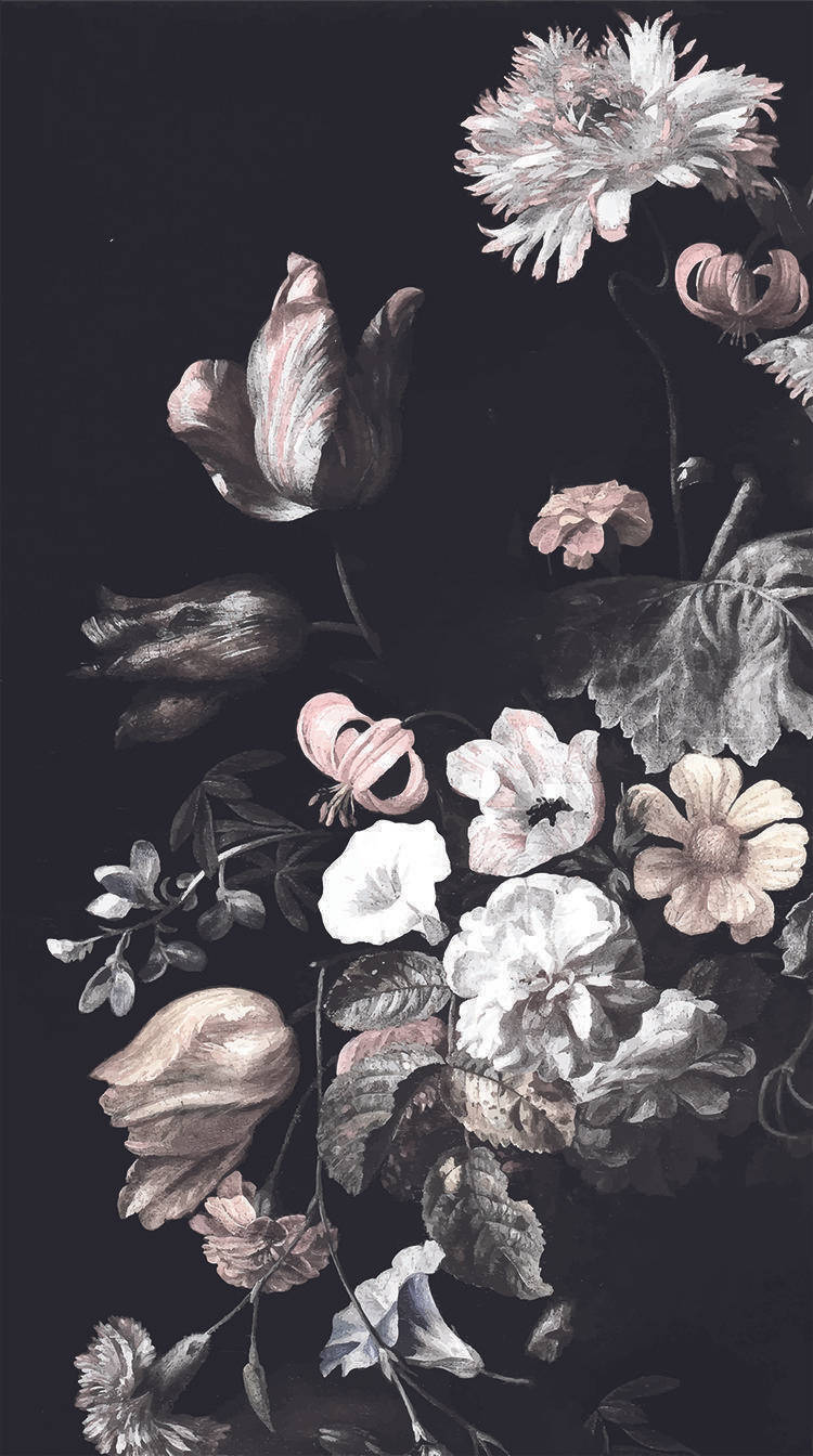 Assorted Dark Hd Flowers Phone Wallpaper