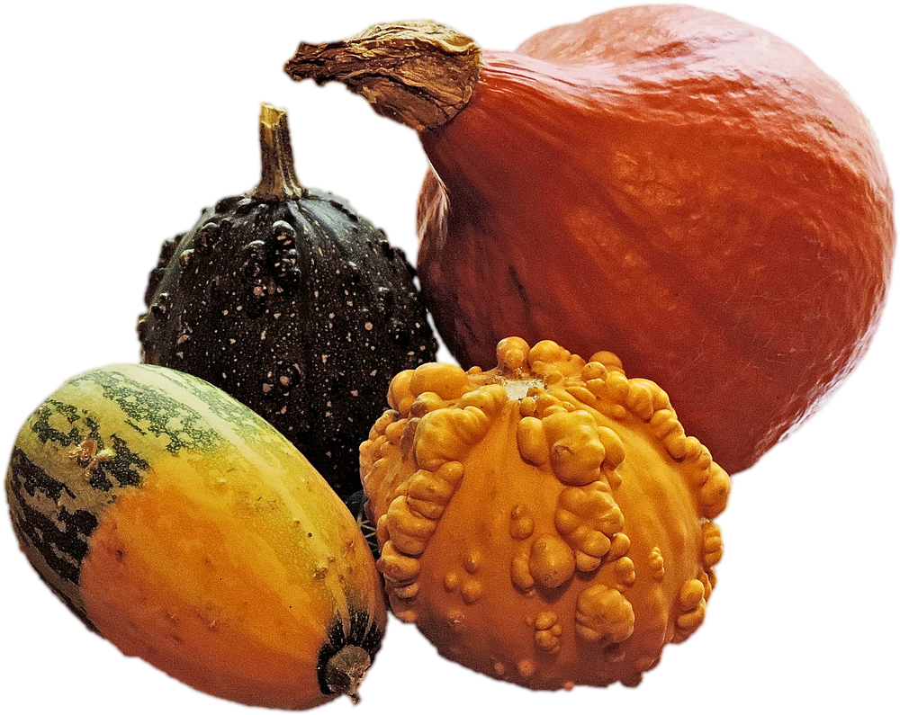 Assorted Decorative Squash Varieties PNG