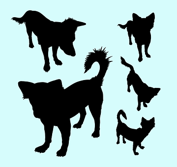 Assorted Dog Silhouettes PNG