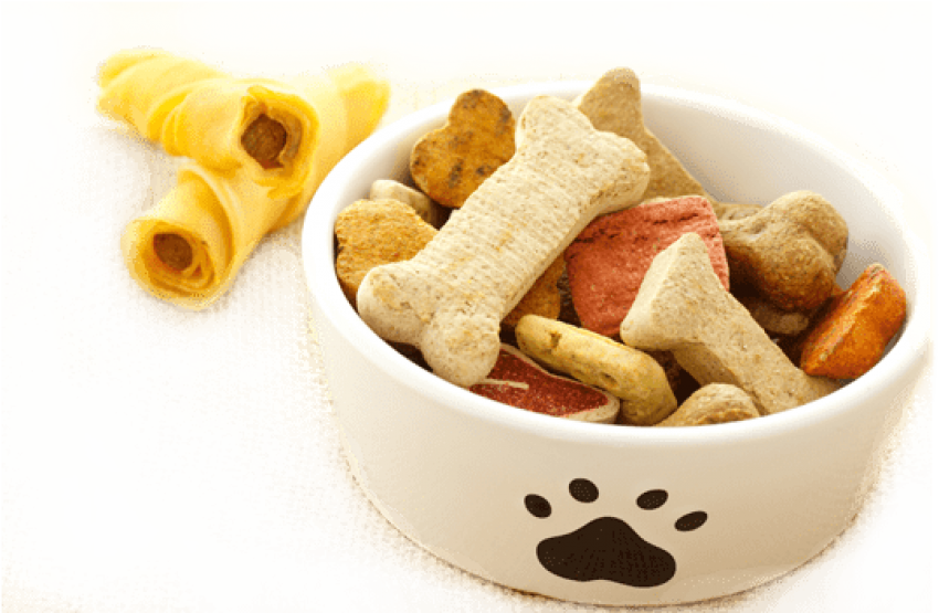 Download Assorted Dog Treatsand Chews | Wallpapers.com