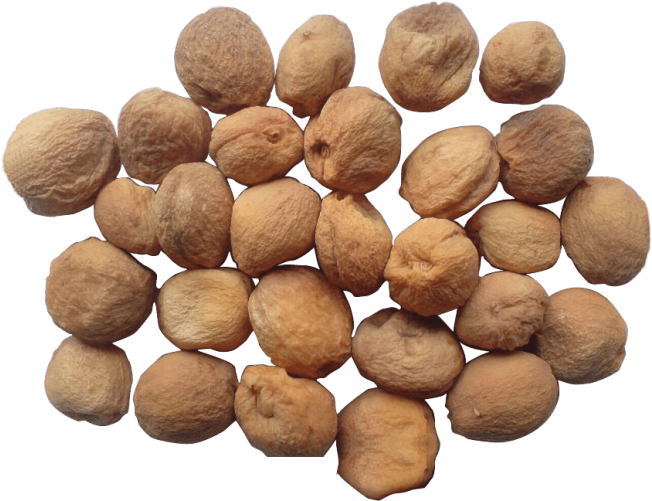 Assorted Dry Apricots Top View PNG