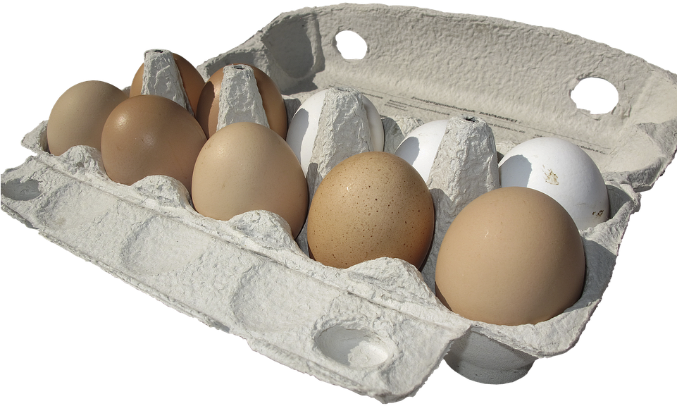 Assorted Eggsin Carton PNG