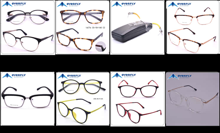 Assorted Everfly Round Glasses Collection PNG