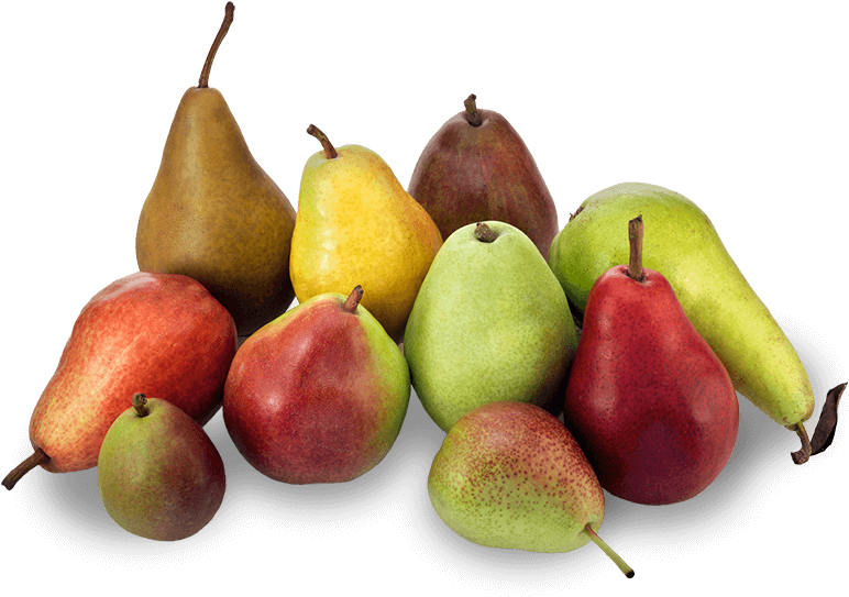 Assorted Fresh Pears Varieties PNG