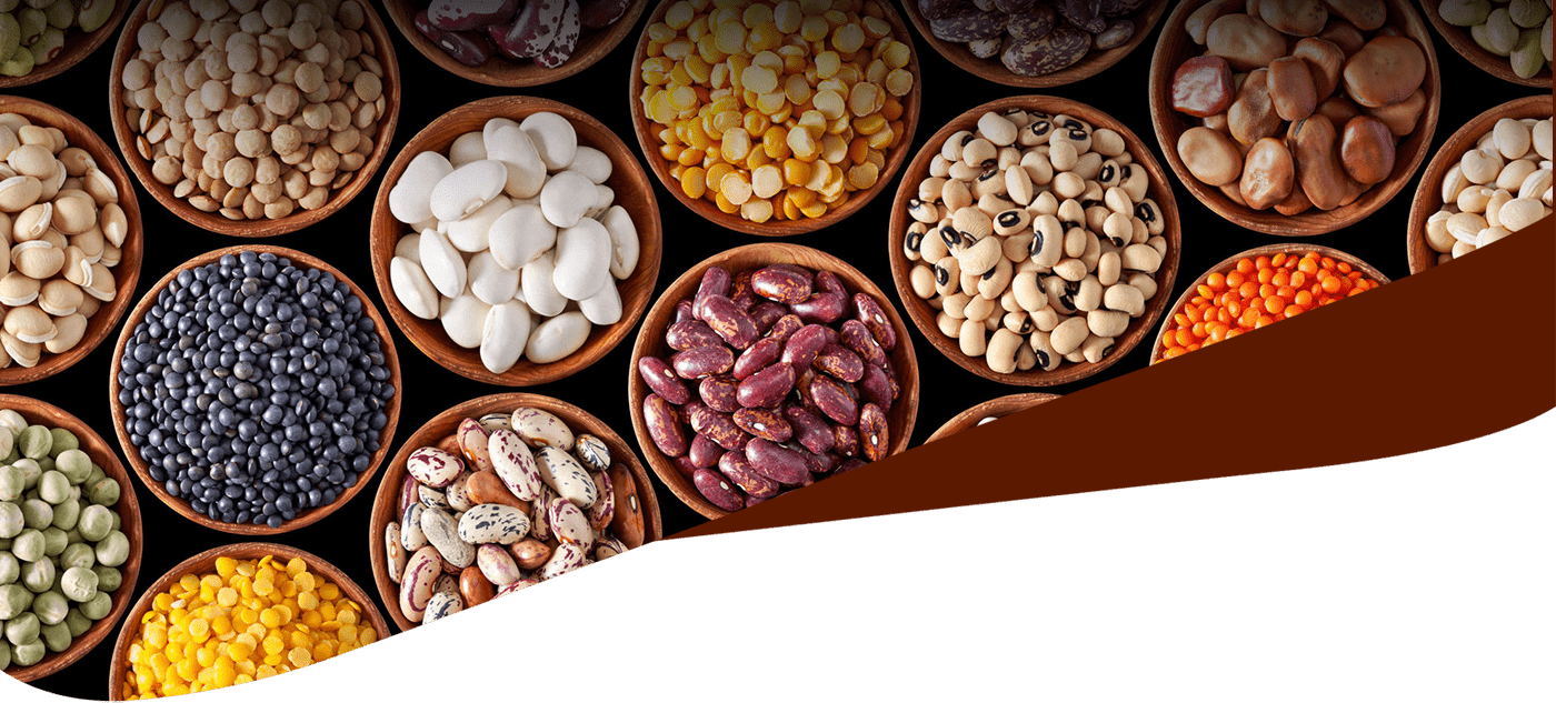 Assorted Legumesand Nuts Variety PNG