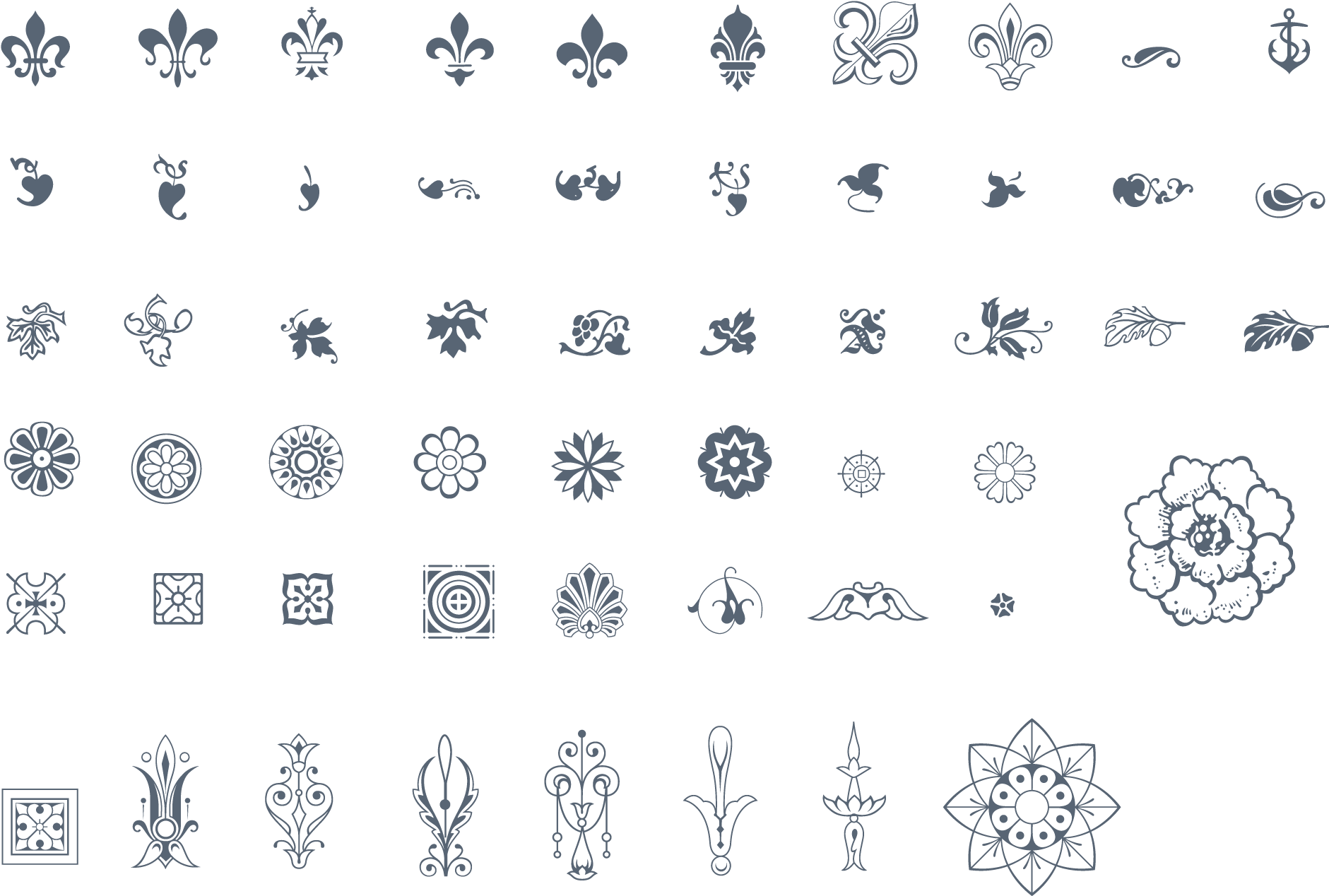 Assorted Ornament Vectors Collection PNG