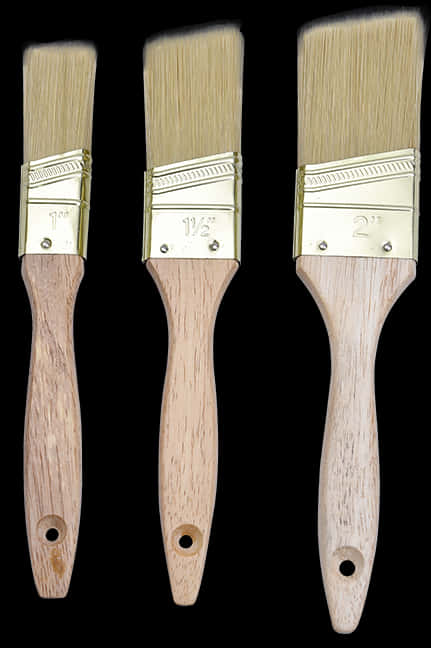 Assorted Paint Brushes Set PNG