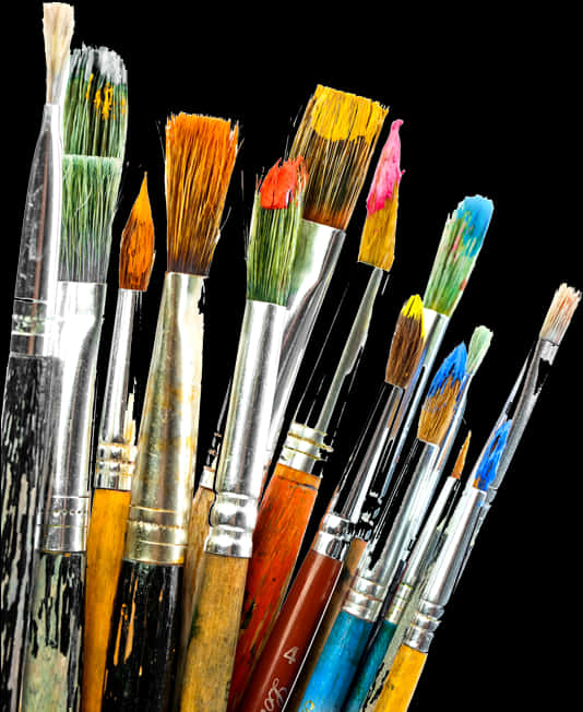 Assorted Paintbrushes Artist Tools PNG