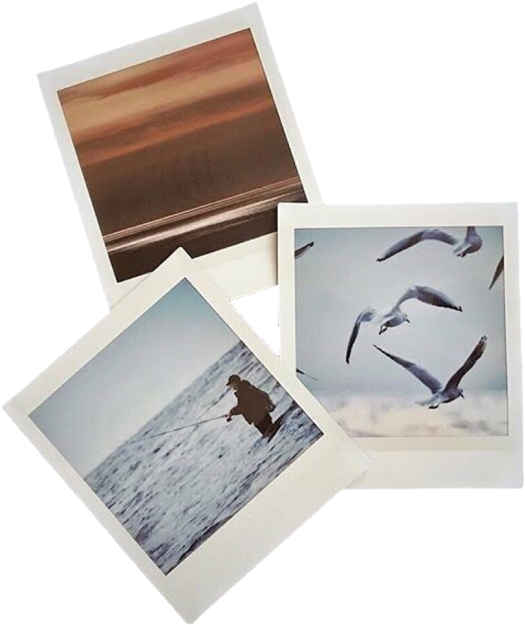 Assorted Photography Prints Collection PNG