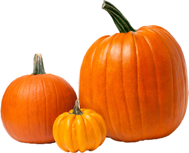 Assorted Pumpkinsand Squash PNG