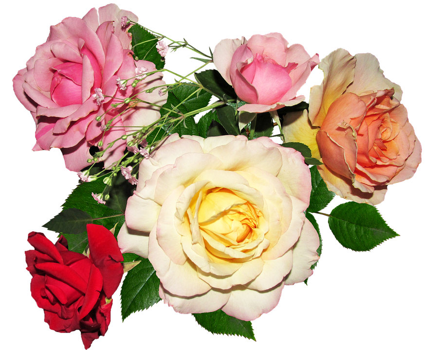 Assorted Roses Bouquet PNG