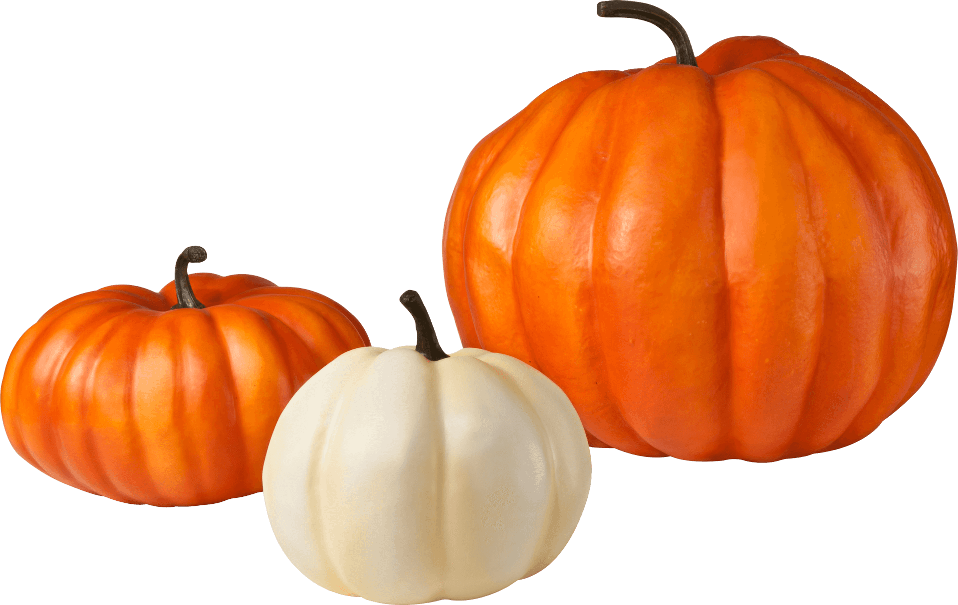 Assorted Squash Varieties PNG