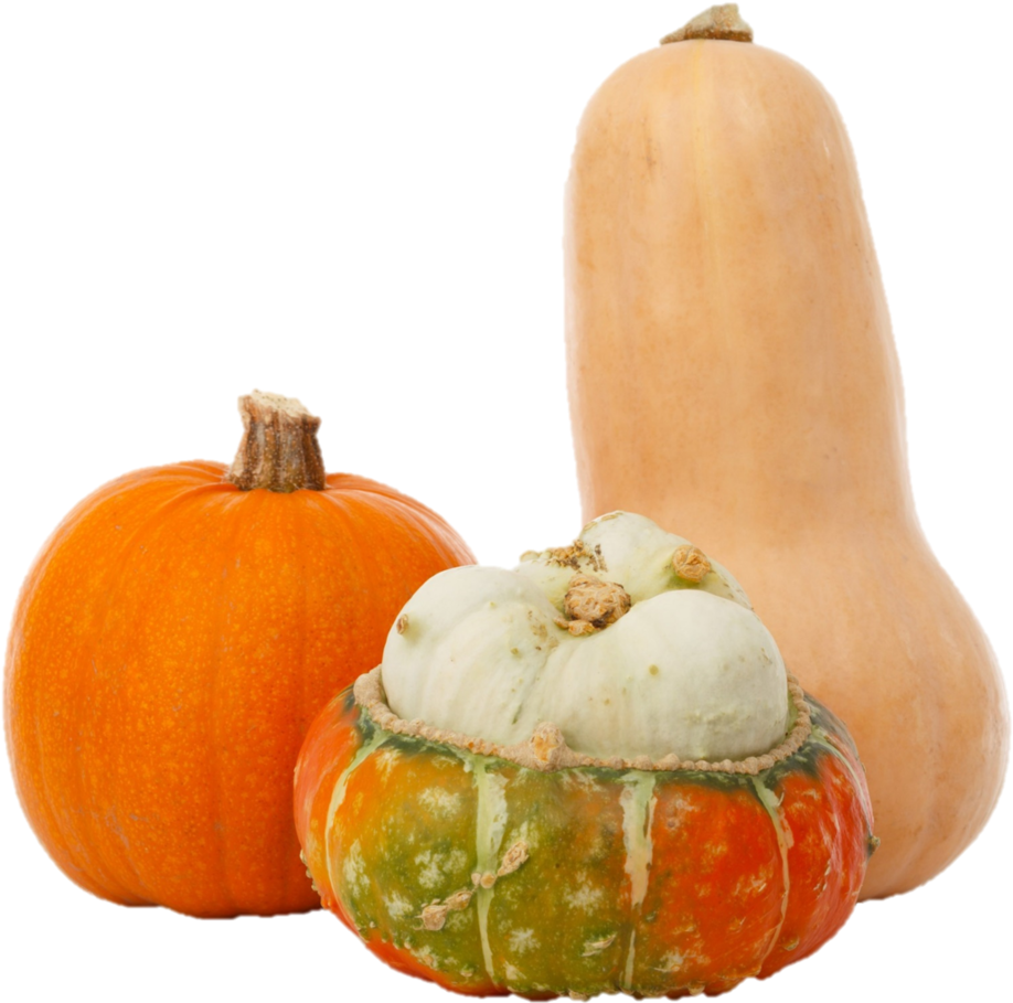 Assorted Squash Varieties PNG