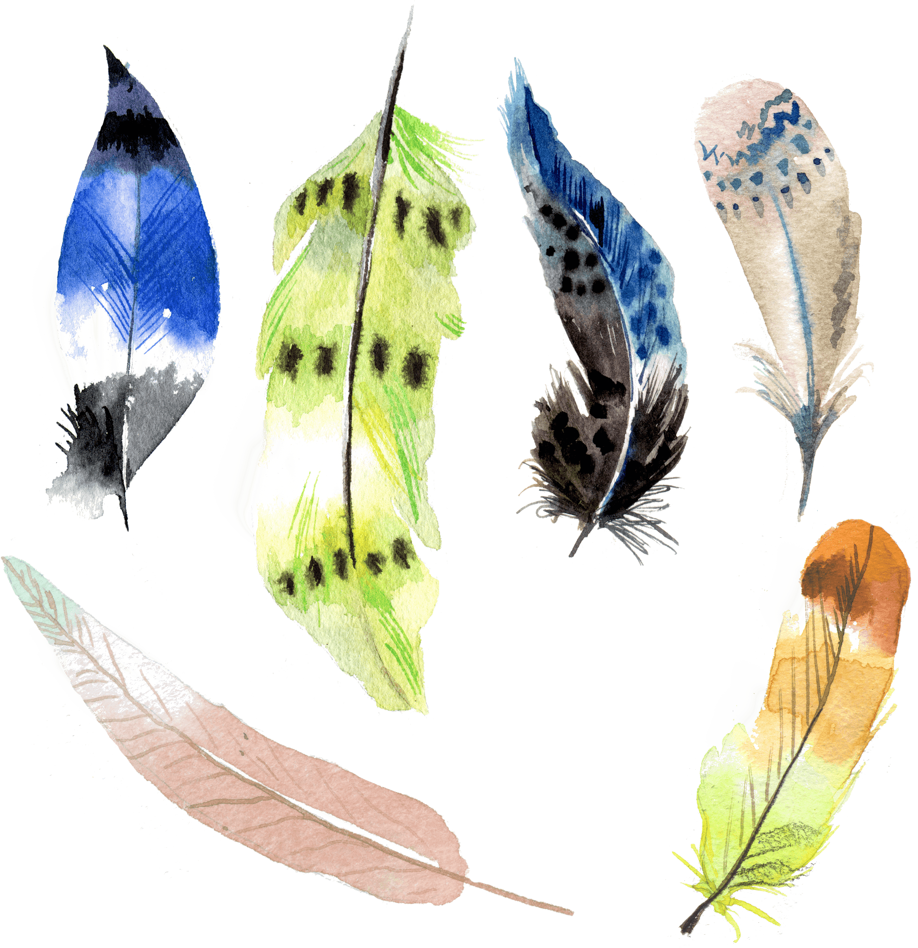 Assorted Watercolor Feathers Illustration PNG