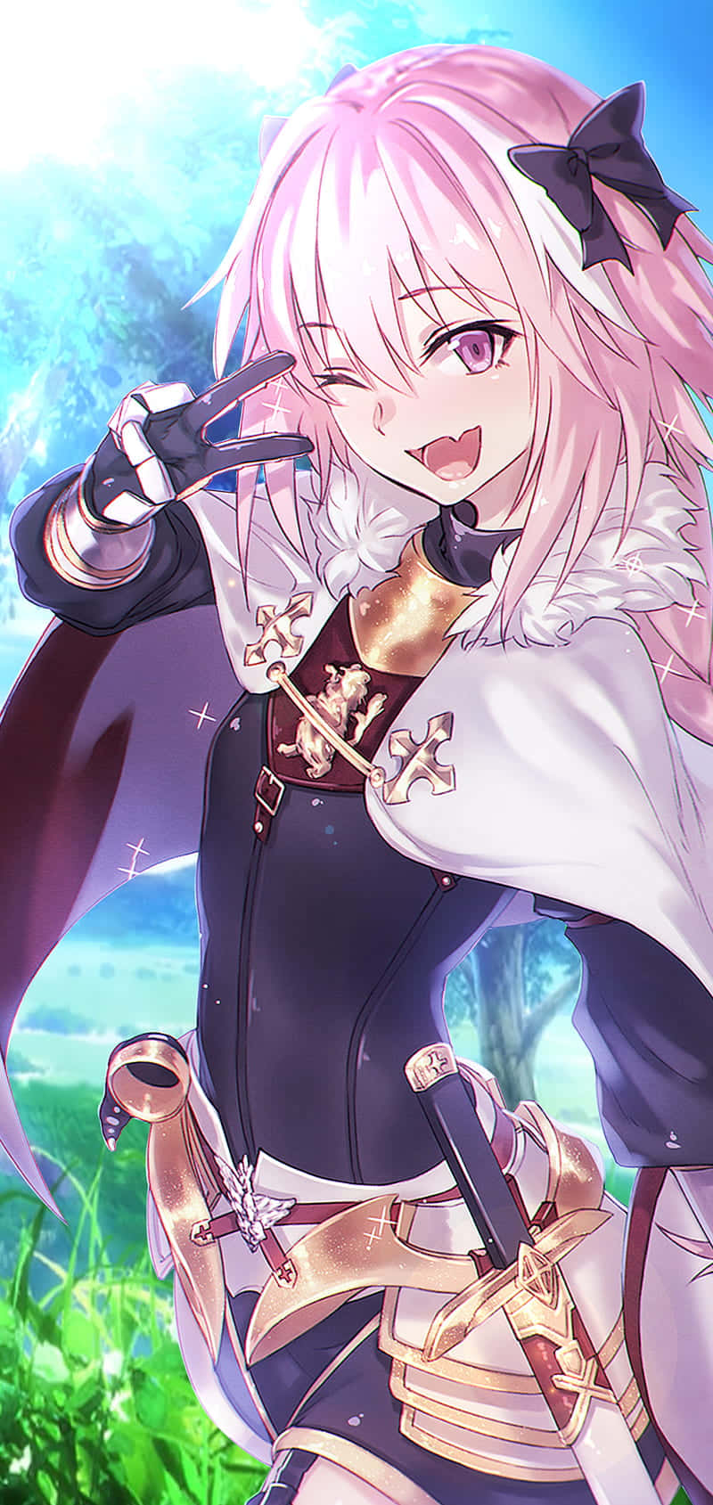 “A fan of Astolfo from Fate/Grand Order”