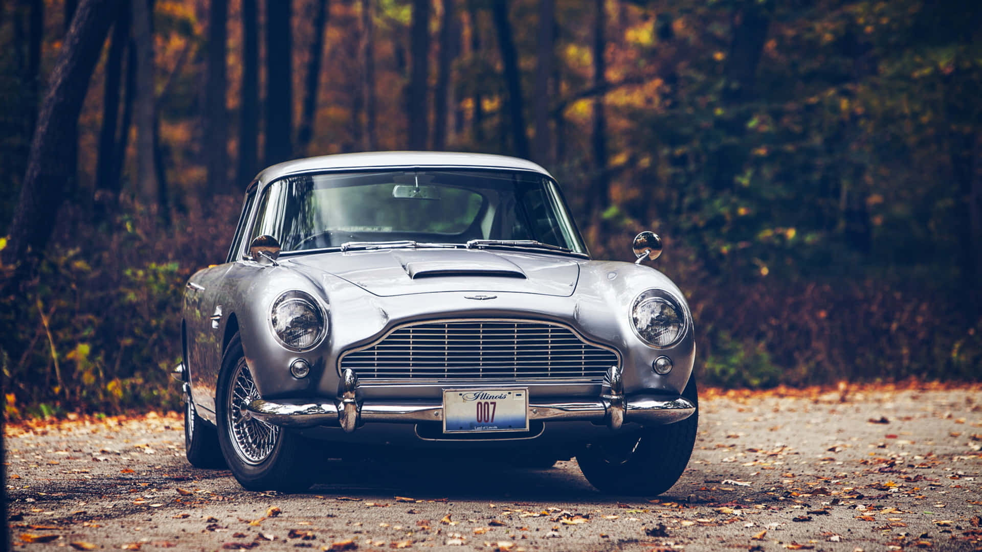 Admire the Elegance of an Aston Martin