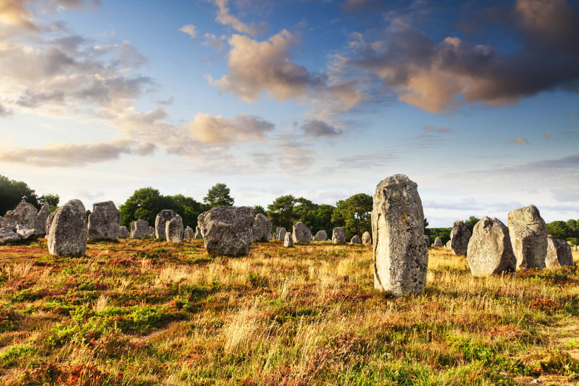 Panoramic View of the Majestic Carnac Stones Wallpaper