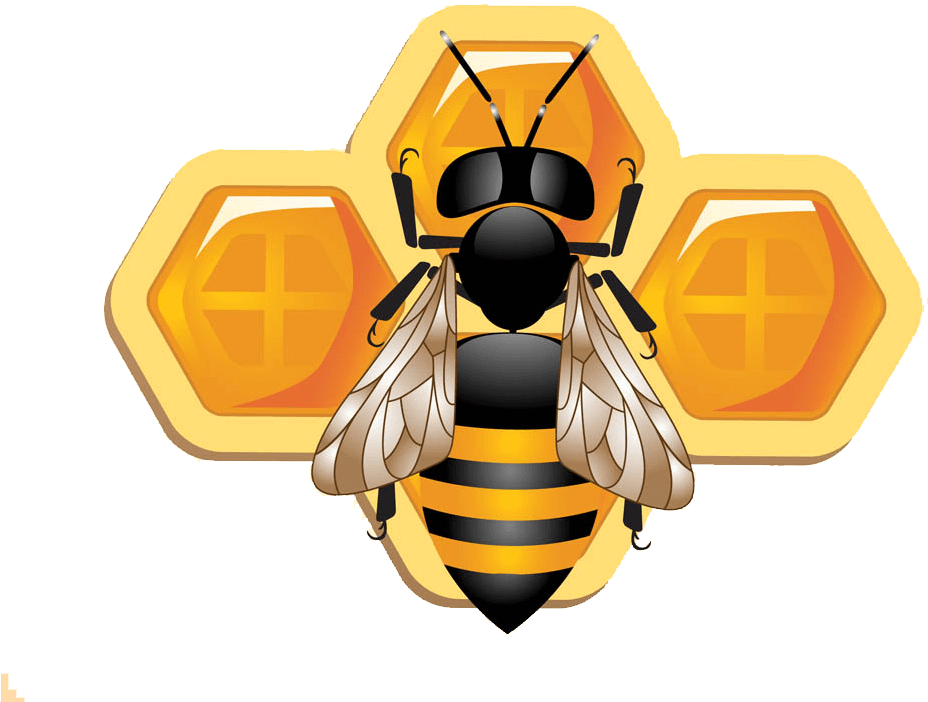 Astrological_ Bee_and_ Honeycomb_ Symbols PNG