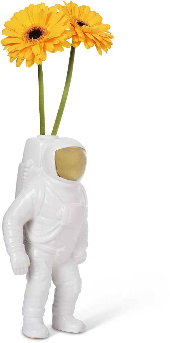 Astronaut Vasewith Yellow Flowers PNG