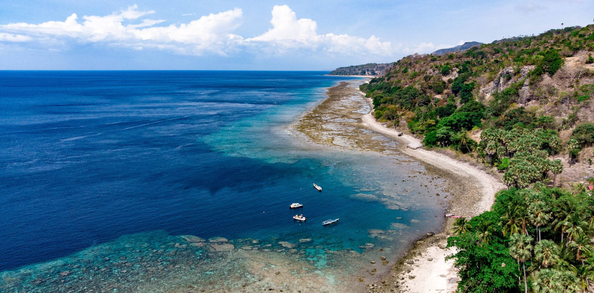 Isoladi Atauro, Timor Est Sfondo