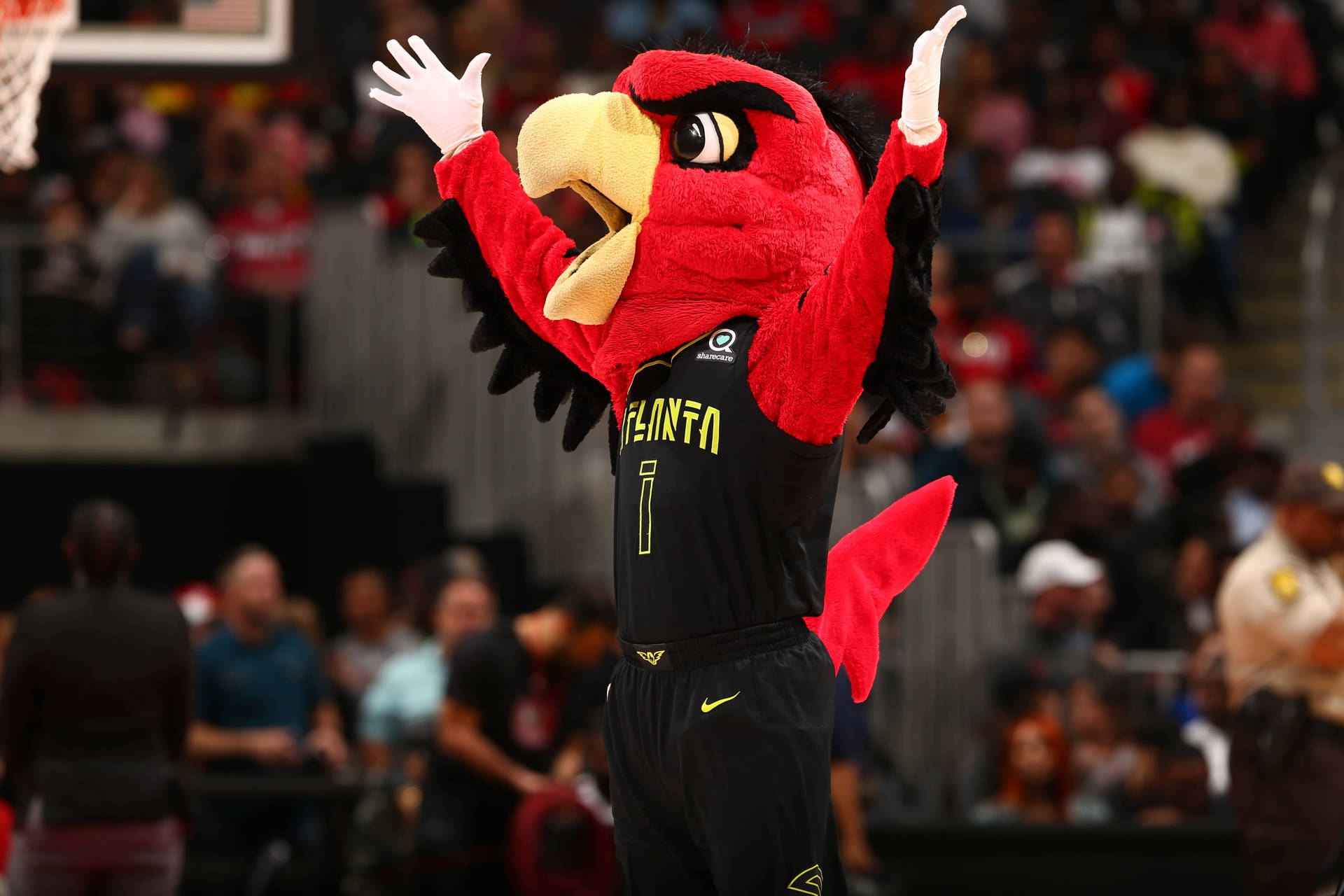 Mascote Do Atlanta Hawks Papel de Parede