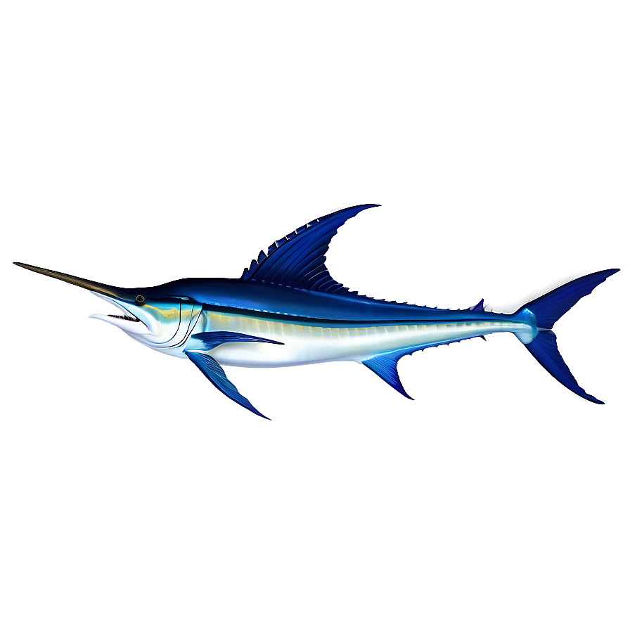 Atlantic Blue Marlin Png Bli PNG