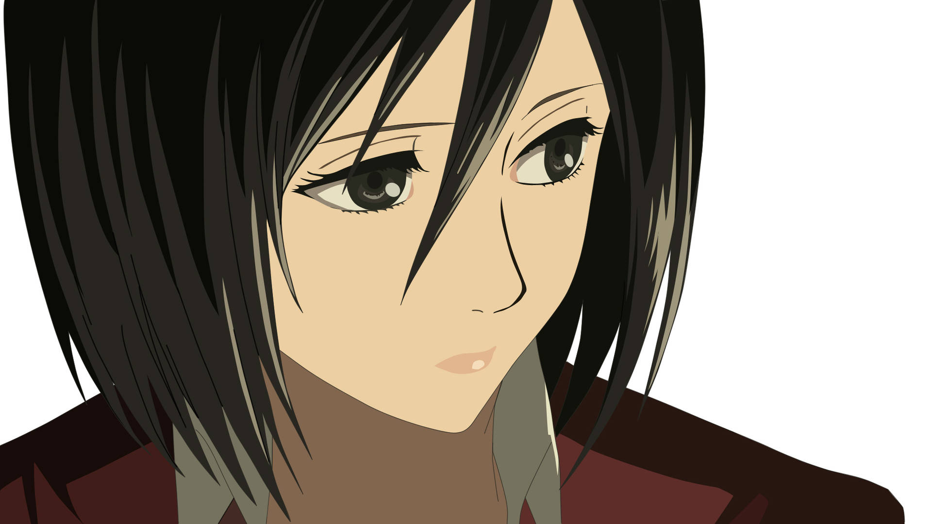 Attack On Titan Characters Mikasa Pretty Wallpaper