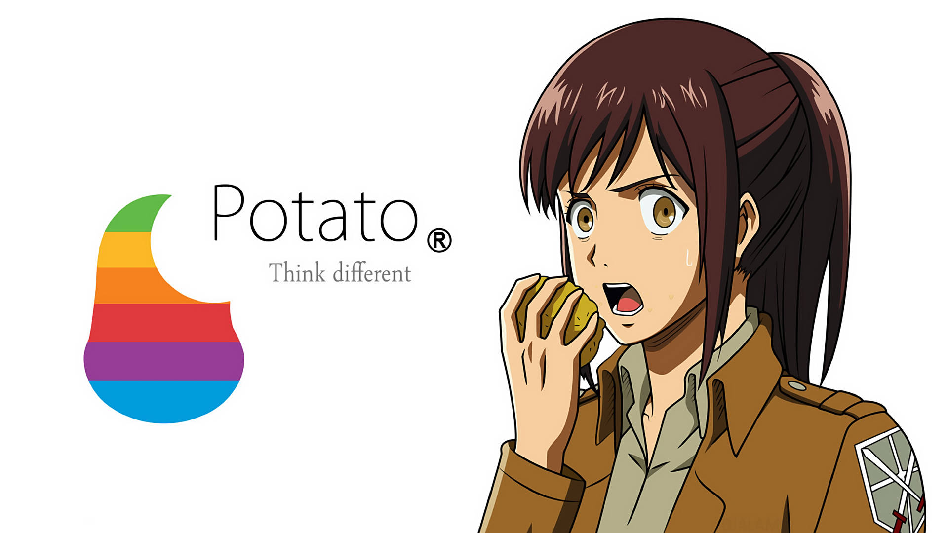 Attack On Titan Characters Sasha Potato Wallpaper