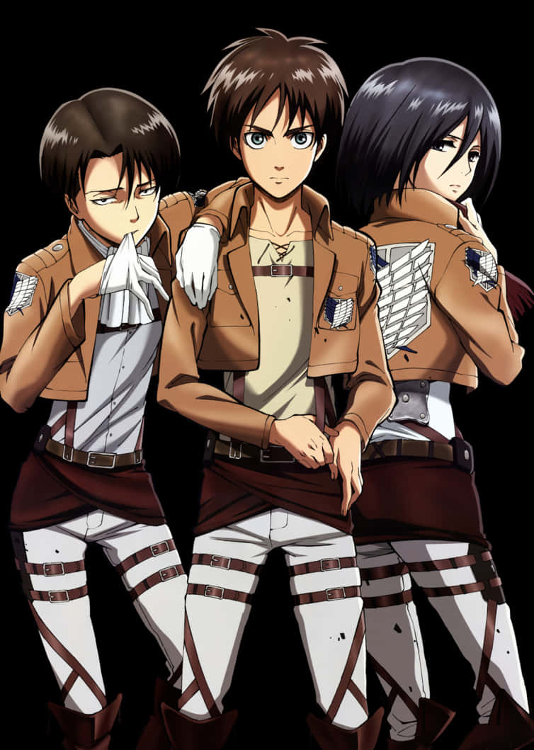 Attack_on_ Titan_ Main_ Characters PNG
