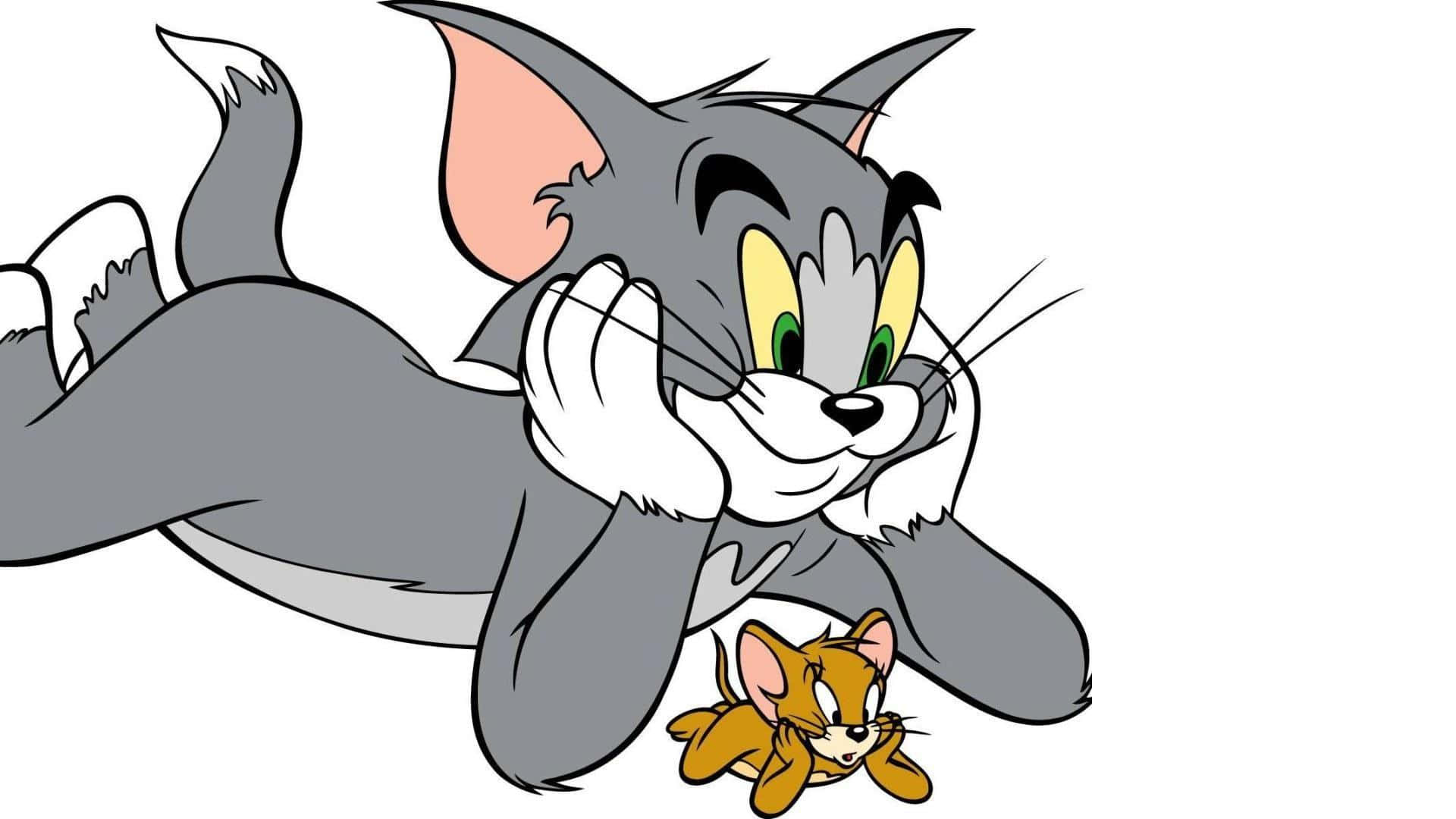 Attentive Tom And Jerry Wallpaper