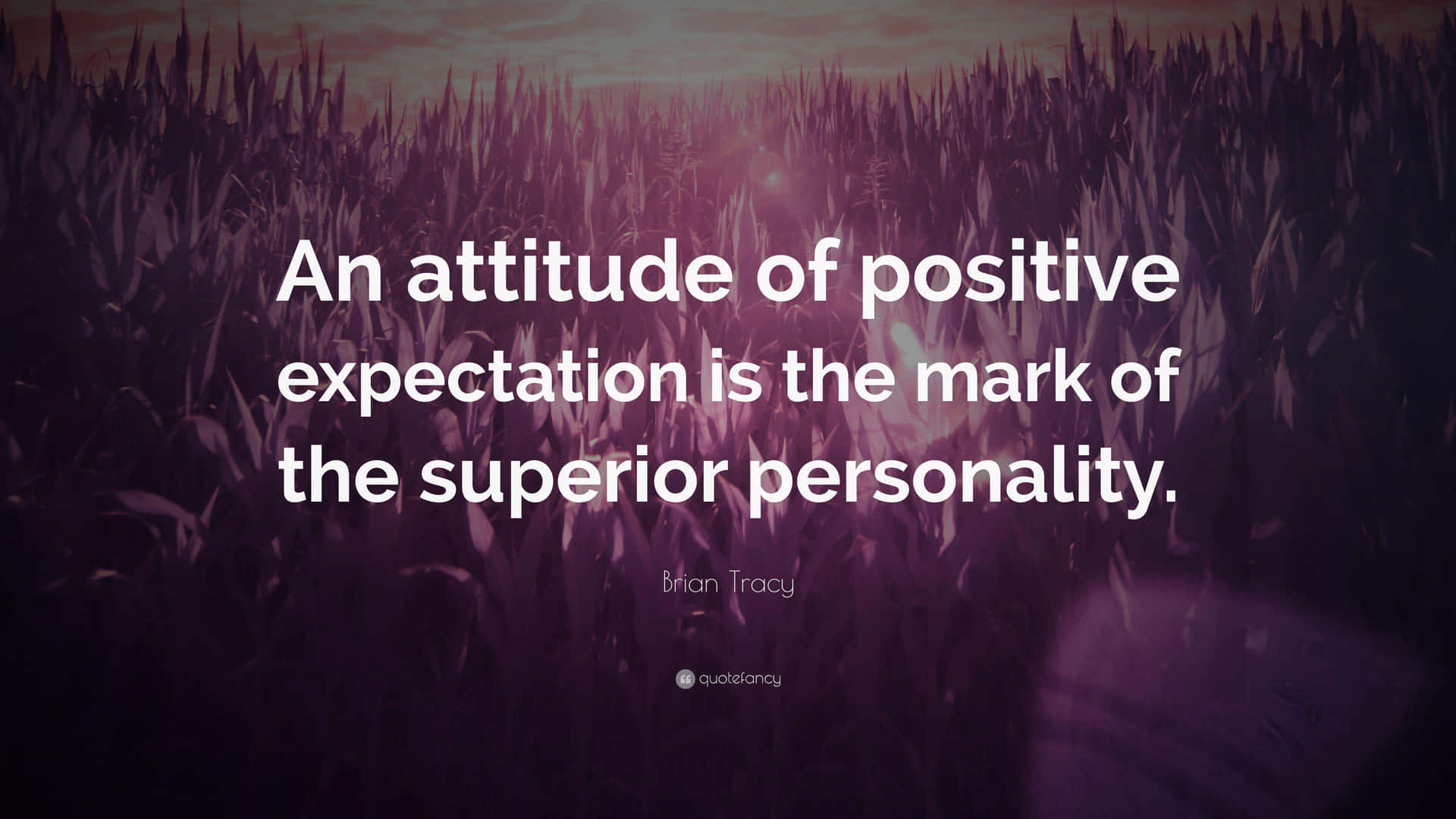 An Attitude Of Positive Expectation Is The Mark Of The Superior Personality
