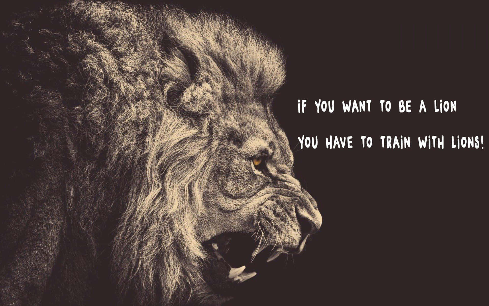 The LION Attitude