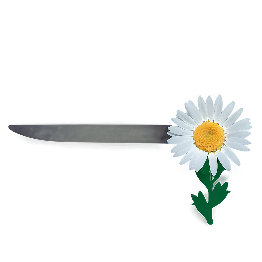 Attractive Daisy Representation Png Ihn PNG