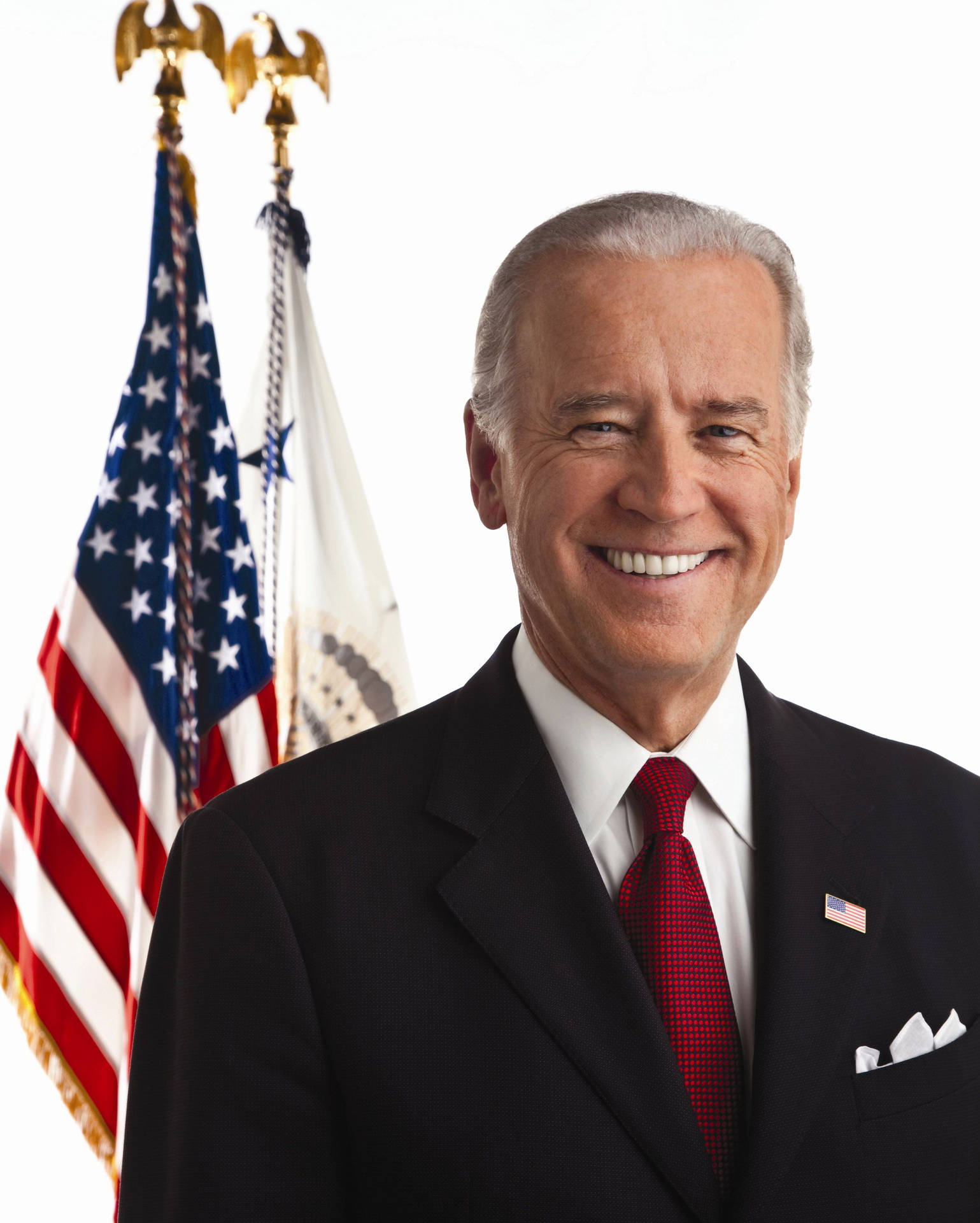 Attractive Joe Biden Portrait
