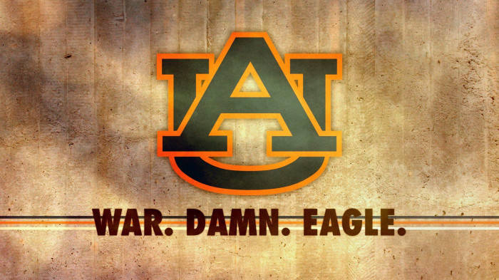 Auburn Football War Damn Eagle Picture