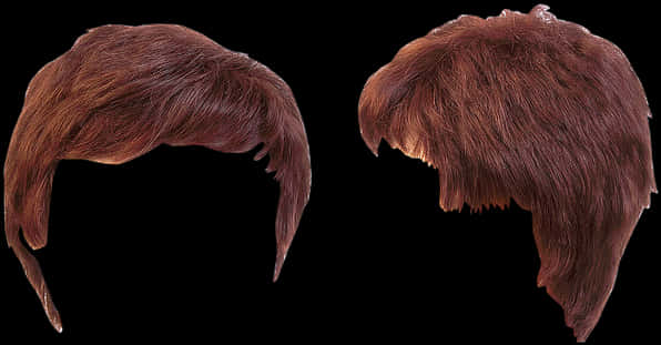 Auburn_ Hair_ Wigs_ Isolated_on_ Black_ Background PNG