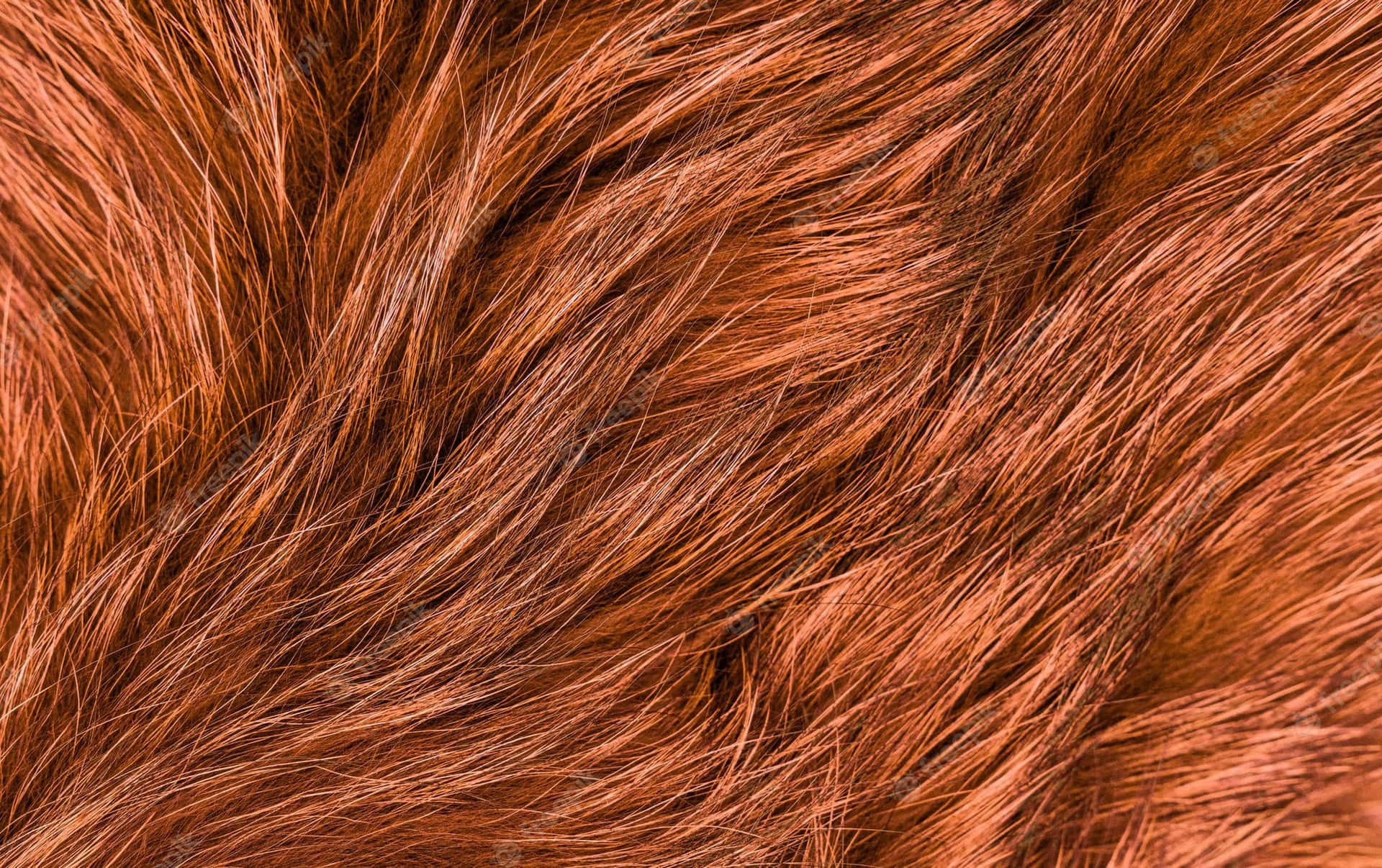 Auburn_ Textured_ Hair_ Closeup Wallpaper