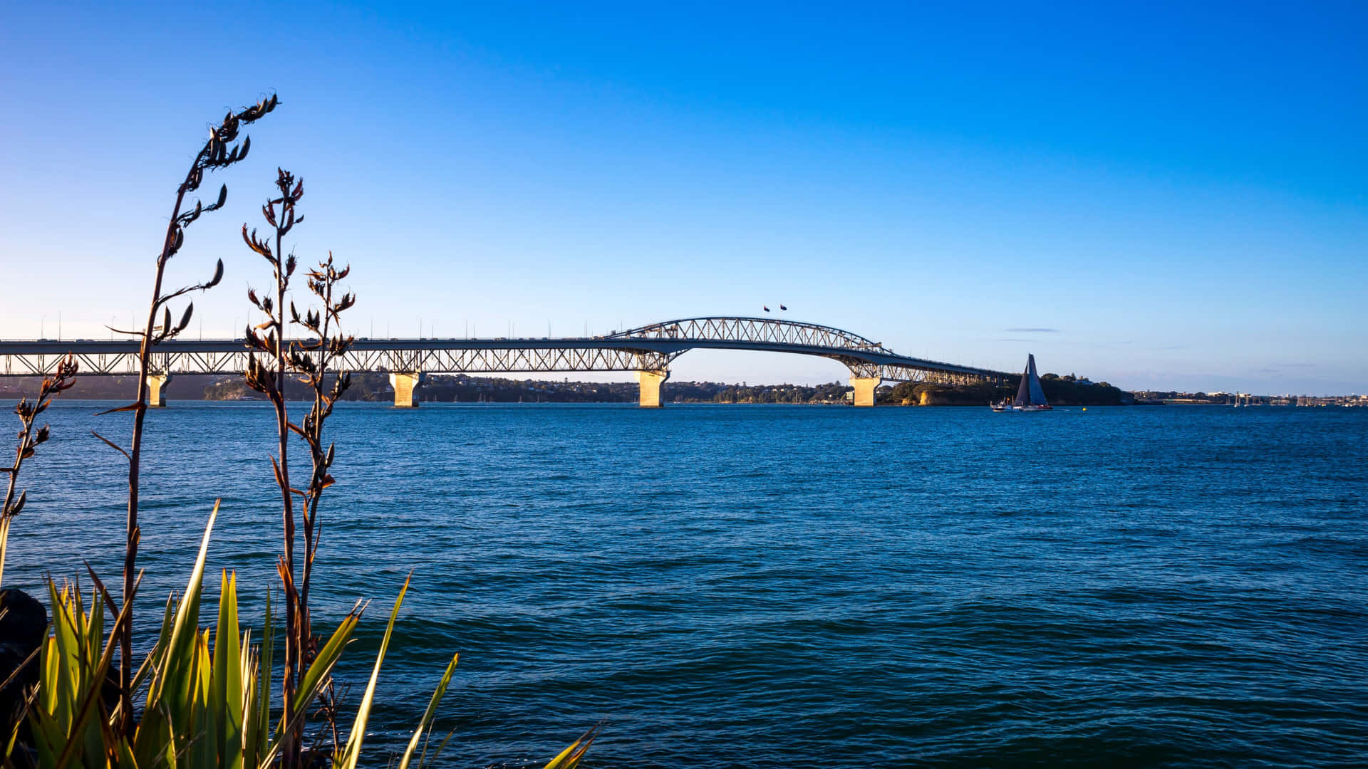 Auckland Harbour Bridge Dusk View Wallpaper