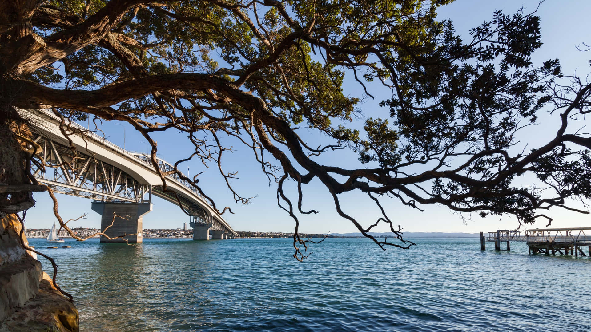 Auckland Harbour Bridge Framedby Tree Branches Wallpaper