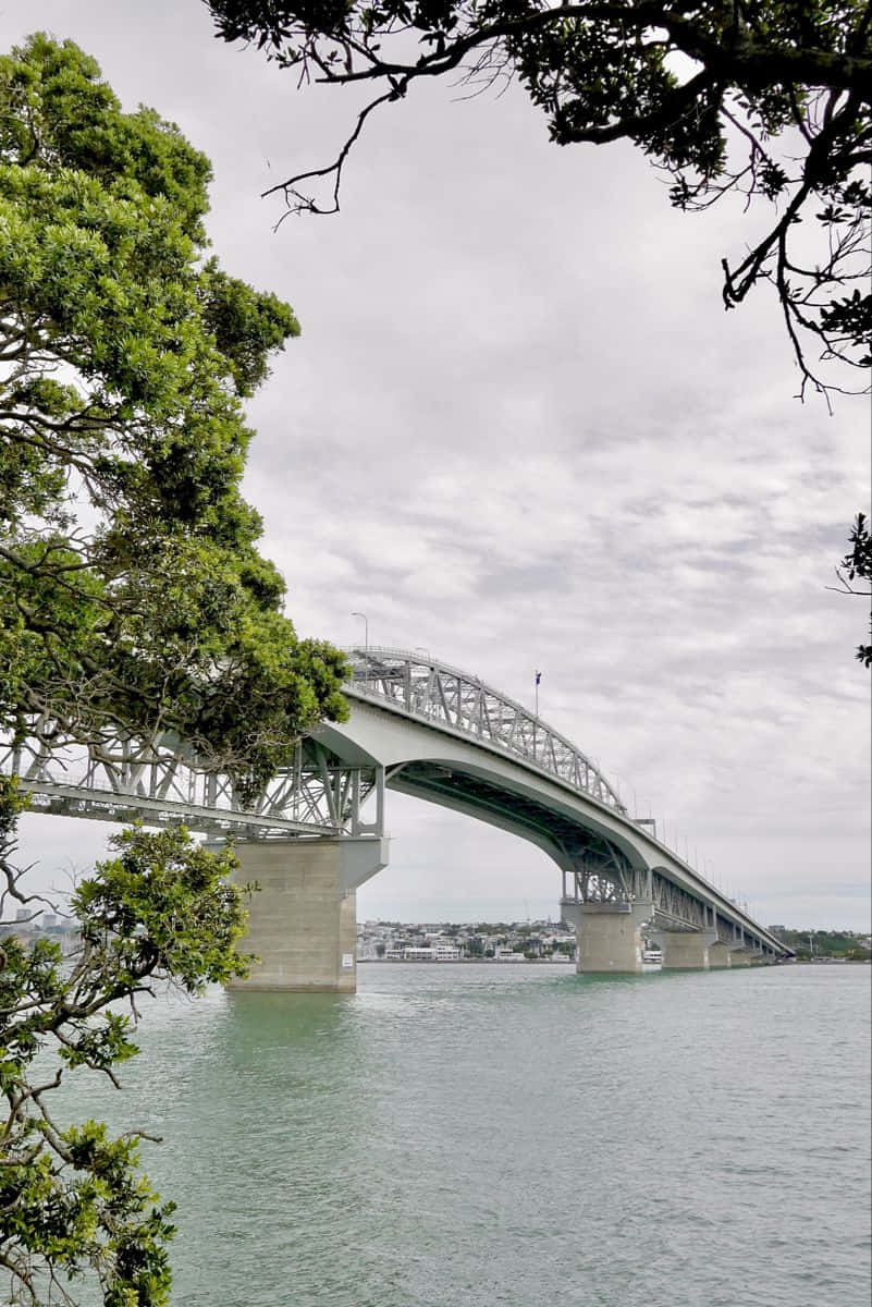 Auckland Harbour Bridge Framedby Trees Wallpaper