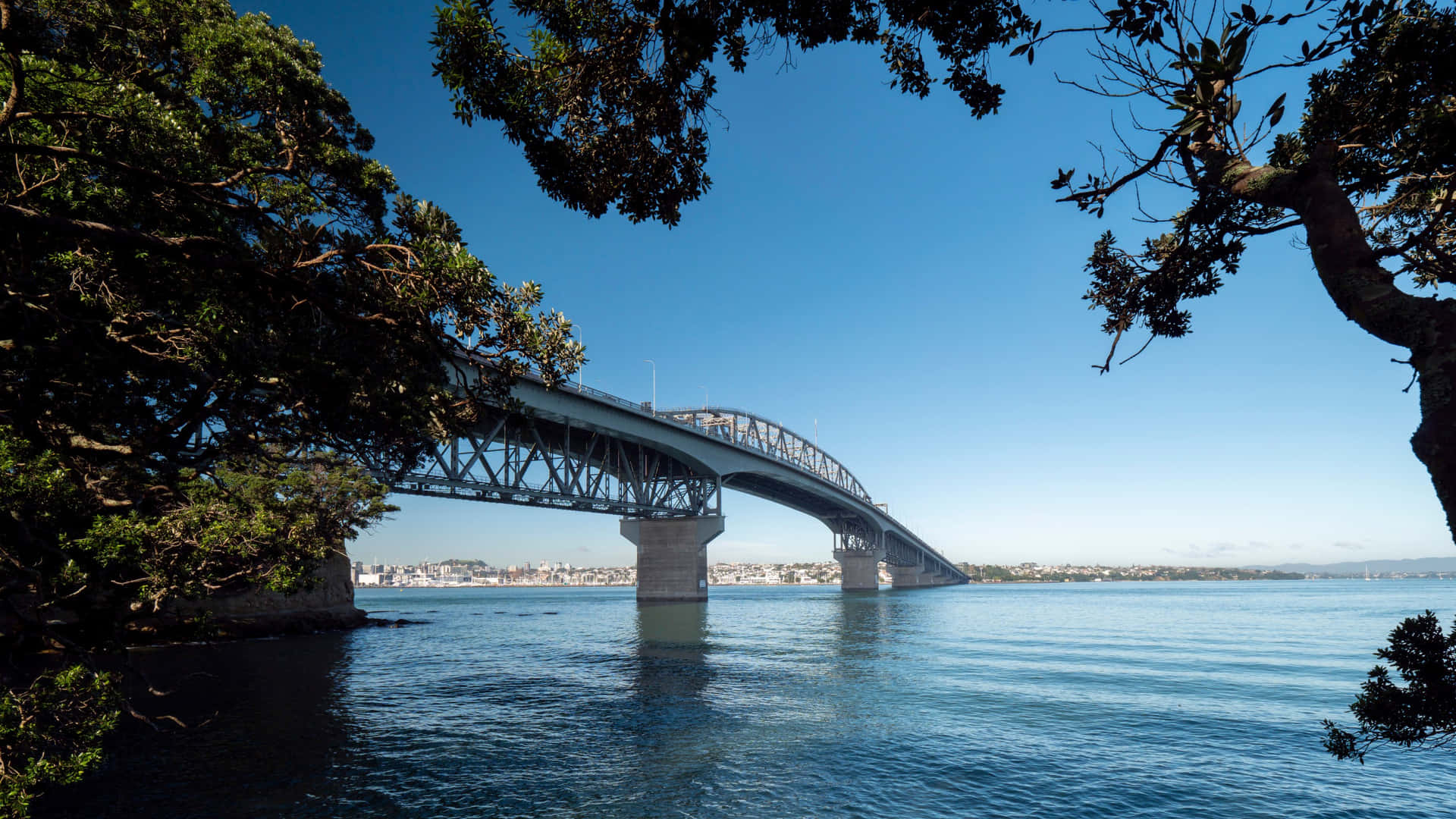 Auckland Harbour Bridge Framedby Trees Wallpaper